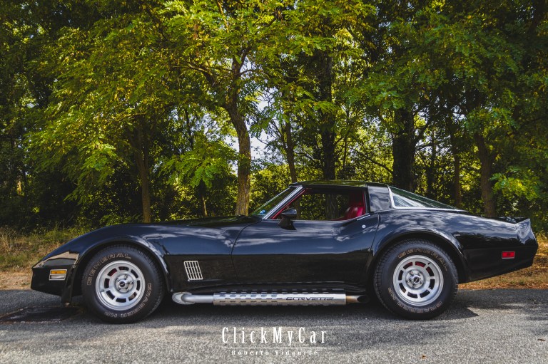 Vette (12)