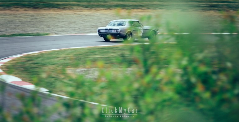 IMG_6529-Editar-Editar